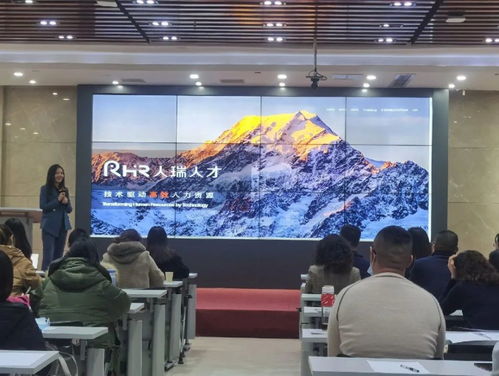 牵线搭桥 人力资源服务如何精准助力中小企业发展