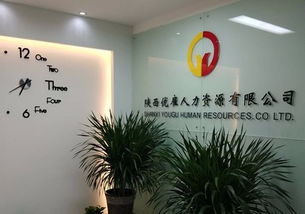 西安人力资源服务行业概览 专业、高效、合规的人力资源解决方案