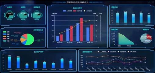 中国式劳动力管理 转型与创新中的人力资源服务