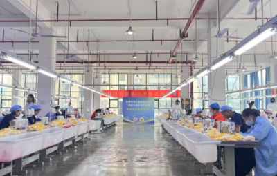 匠艺筑梦 绒耀秦巴——安康市第六届新社区工厂技能大赛总决赛圆满落幕